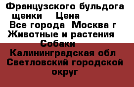 Французского бульдога щенки  › Цена ­ 35 000 - Все города, Москва г. Животные и растения » Собаки   . Калининградская обл.,Светловский городской округ 